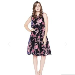 Eva Franco floral velvet burnout dress